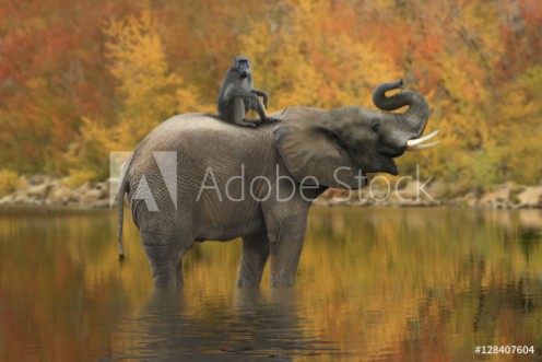 Bild på Wild Images of of African Elephants in Africa